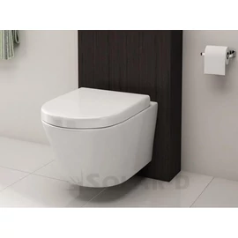 AR-101 AREZZO WC DESIGN INDIANA FALI WC